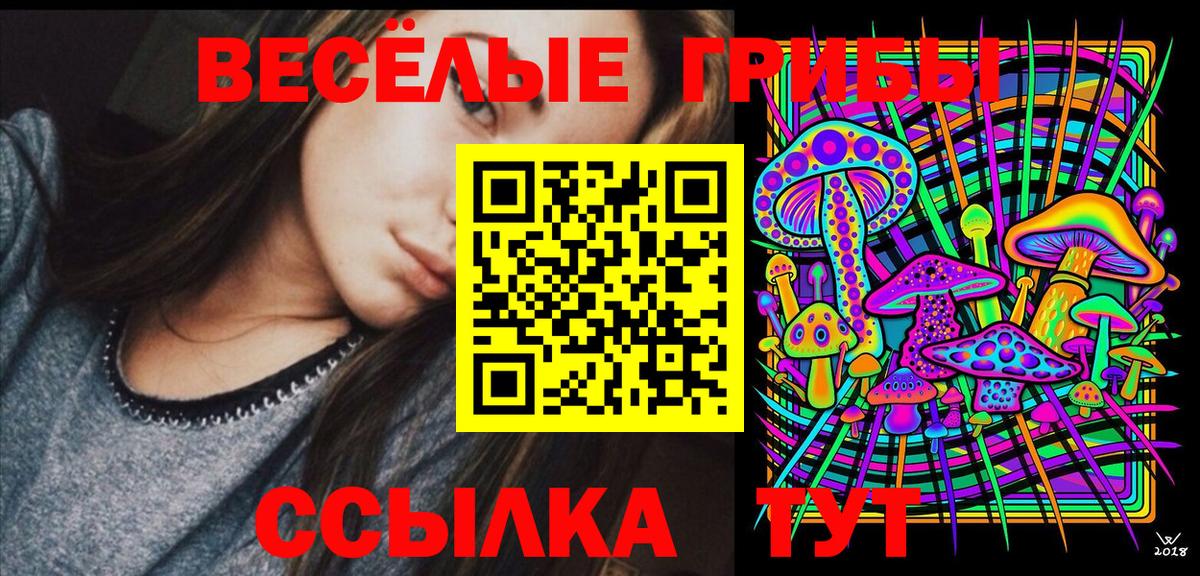 Благовещенск  Галлюциногенные грибы Psilocybe  где купить   Вход с VPN 
